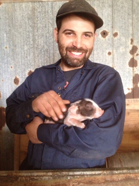 Tony Andrade Jr with a newborn pig